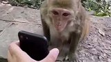 这狗真的好勤劳啊！