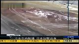 日本污染牛肉散播 官方加紧追查