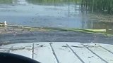 男子将车开进湖水，原来导航还有河道