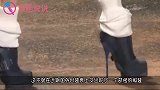 奇葩模特穿气球走秀，身材一览无遗，脱掉后全场沸腾！