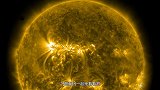 位于宜居带的金星，为什么不是太空移民的首选星球？原因很简单