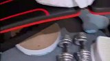 宝宝看到猫和狗在打闹，本想过去凑热闹，却遭到对方的嫌弃