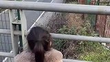 百家女儿爬上高速天桥，只为远远看爸爸几秒喊一声爸爸