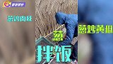 孙俪边笑边拍邓超剪葱，自我调侃是一时“葱”动，网友称太接地气