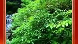 慢下你我的脚步，寻一处世外桃源