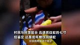 养殖场惊现巨蟒产下38个卵，民警徒手抓“七寸”制服：比手臂还粗