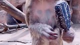 防暑降温