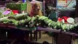 万万没想到！菜市场内狗狗坐在摊前微笑迎客