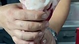 为了还原骨髓的真实性，男子将牛棒骨放火炉烘烤