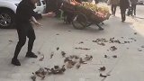啥都别说了，清洁队需要你