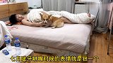 【七月与摩卡】西瓜最强赘基，歪嘴基王