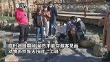62天没见，我们一直正常“上班”