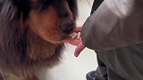 加布对吃药这个事还是挺自觉的，我从来没管过