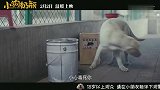 国产忠犬八公！《小狗奶瓶》