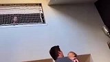 这个火了的视频