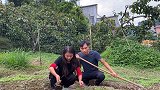 夫妻俩地里干活，幽默老公挑粪淋菜，生活平淡而甜，农家生活幸福