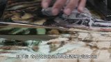盘点最带劲的四件服装！妹子们太拼了！奇人怪事