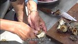 渔民处理4种海鲜，“海螺”最狠，一锤敲碎，切片生吃不过瘾！