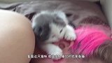 主人在做饭，猫咪不停撒娇要抱抱，这姿势抱猫咪，太舒服了