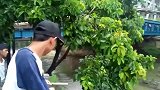 村子里，暴雨过后一个庞然大物搁浅河中，村民走近一看不对劲！