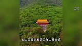 游客为逃票爬梯子翻墙进明孝陵，景区回应