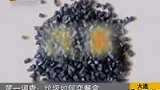 佛塑股份卷入洋垃圾餐盒事件 违规车间被查-8月12日