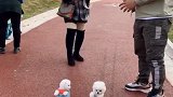 小伙子不能耍赖