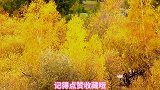 九月新疆怎么玩看完这个攻略就够了