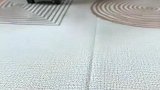 饿诺捕食，旭哥在后