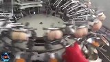 工厂全自动加工鸡蛋的全过程,可以快速分离蛋清和蛋黄看着超级爽