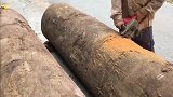 下血本收购一根超大木料，老婆说我人傻钱多，成品一出一个劲夸我