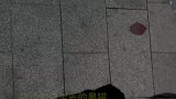 路边偶遇走丢的黑猫，也不知道是谁家的