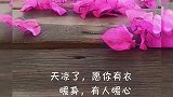 天凉了，愿你有衣暖身，有人暖心。