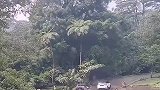 快点喂我啊！司机在车里快把自己车都翻烂了