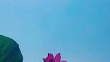 心中有爱，才愿意等待。