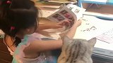 小棉袄一学习，小猫咪就过来蹭课，接下来闺女的反应，妈妈都乐了
