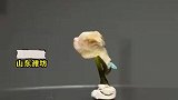 男子花天时间，将朋友智齿雕成大象