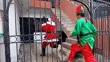 圣诞老人来送礼物了！秘鲁警察扮成圣诞老人和小精灵抓毒贩