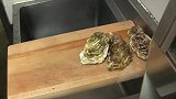 日本大厨处理巨型太平洋生蚝，用清酒汆烫做手握寿司