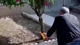 老人不得不走