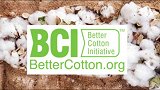 BCI上海代表处再发声：从未在新疆发现一例强迫劳动事件
