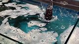 情侣逛超市发现一直在尬舞的鲟鱼