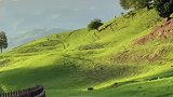 这样的美景，你真的不会心动吗？
