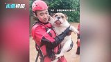 宠物园被淹，消防员从洪水中抱出一大堆小可爱：没事没事，摸摸头