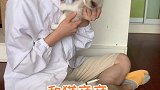 一天天的啥也不是！散会！铲屎官日常 布偶猫 小奶猫 吸猫 萌宠