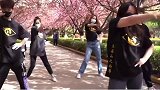西安交通大学一群青春洋溢的同学们献上浪漫樱花舞，邀请全国人民赏西安绝美春天！