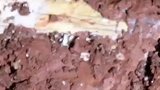 贵州一山洞百米深处发现被岩浆石封住的骨头遗骸