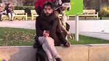 老外玩着恶搞游戏，偷偷剪断目标的香烟，真是太搞笑了