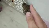 高手之间的过招，胜负只需一秒？