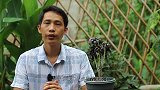 多肉长坏了，用上1招让它变繁殖机器